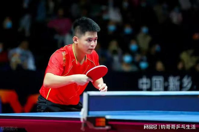 不仅确保了 不仅确保了