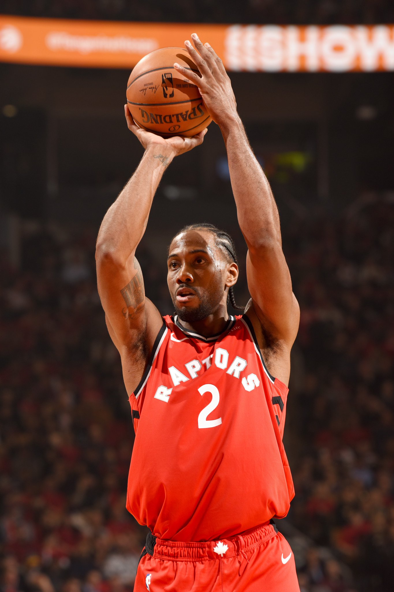 在无强势野 在无强势野